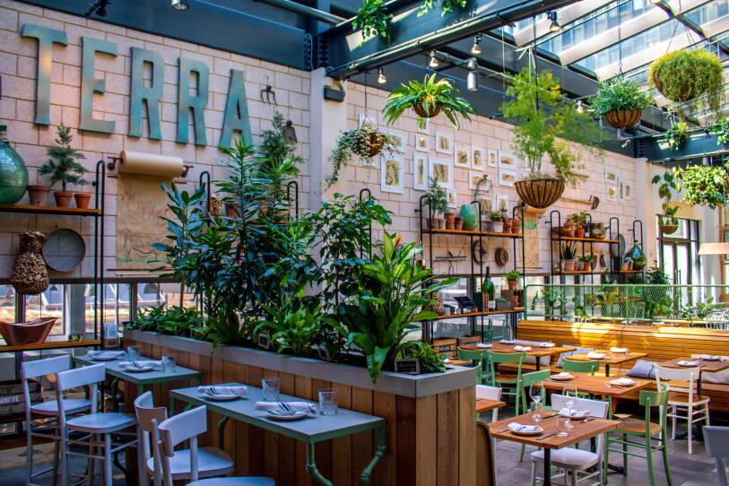 Terra at Eataly Boston