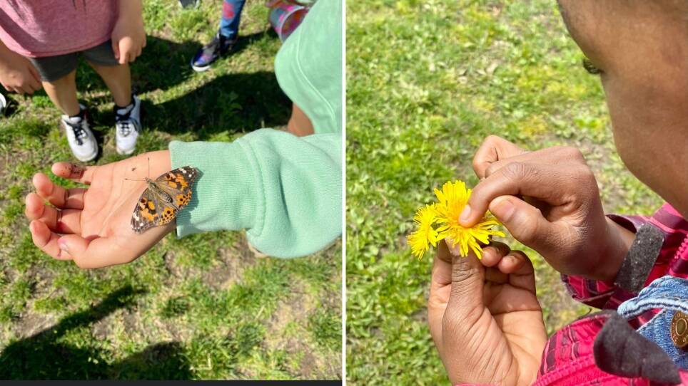 Two side-by-side photographs show a child with an orange and brown butterfly on their hand and a child feeling the petals of a dandelion flower.