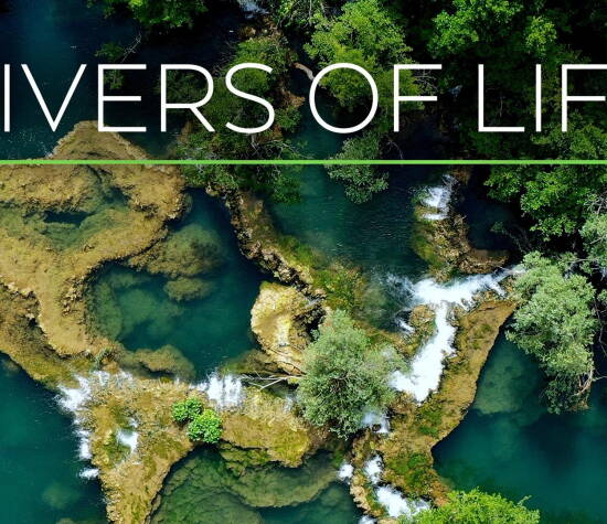 Rivers of Life