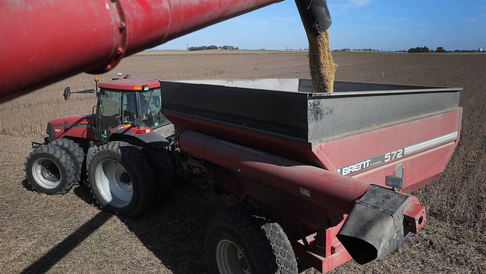 Soybeans pour from a combine during harvest in a field in Rippey, Iowa, in 2019.