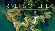 Rivers of Life
