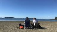 Two adults sit on folding chairs on a beach looking out over the water. They also have a dog.