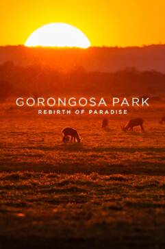 Gorongosa Park