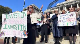A woman with blond hair and glasses speaks into a microphones. Standing around her are people with signs showing support for funding programs for domestic violence survivors.