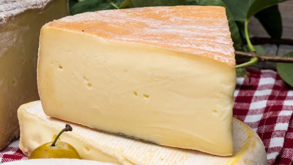 fontina-cheese.jpg