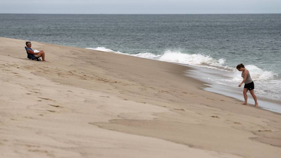 Increased Shark Sightings Along Cape Cod Coast Linked To Seal Population Growth