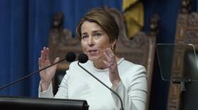 A woman gestures with both hands as she speaks into microphones at the front of Massachusetts State House Chamber.