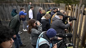 Binoculars up and eyes on camera screens at the Shepaug Dam as a bald eagle makes an appearance at the Shepaug Eagle View in Southbury, Connecticut March 6, 2024. 