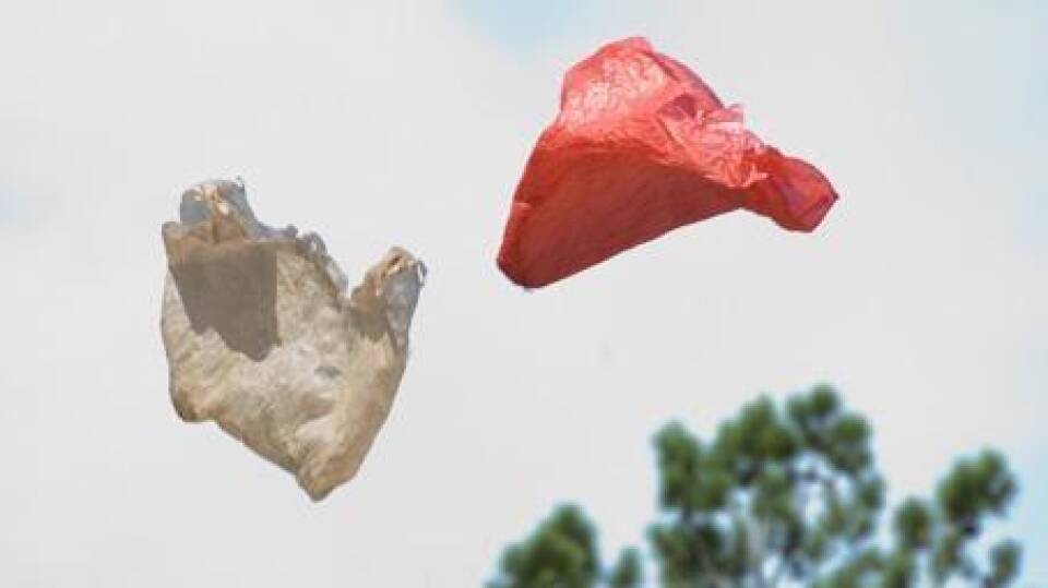 Plastic Bag
