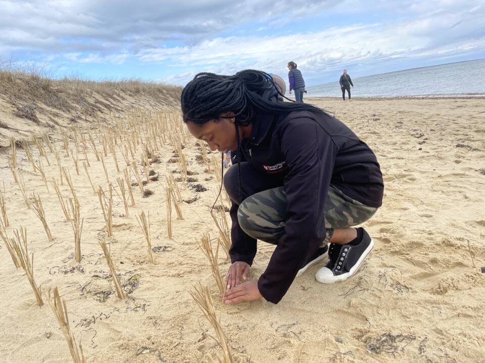 A teenager squats down on a sandy beach, patting the ground around a small clump of tall, tan grass.