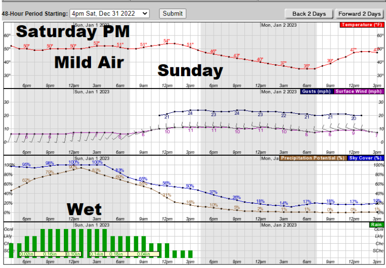 A graph showing a 100 percent chance of rain between 10 p.m. and 4 a.m. on New Year's Eve.