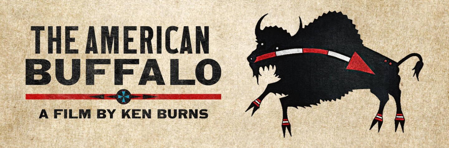 The American Buffalo
