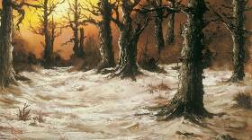 Rustic Winter Woods