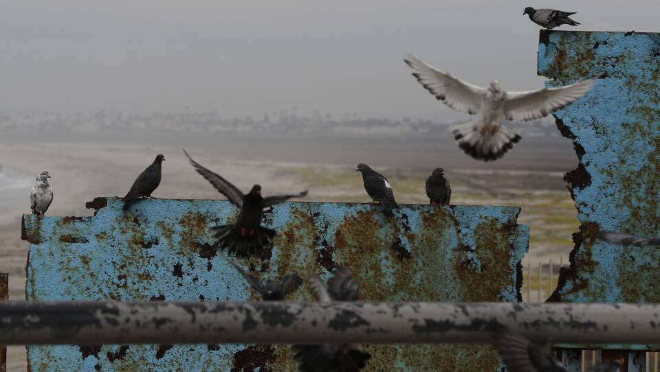 Birds fly and land on the U.S. border wall, seen from Tijuana, Mexico. Lawmakers in Washington are still finalizing a border security funding deal with more resources for physical barriers.