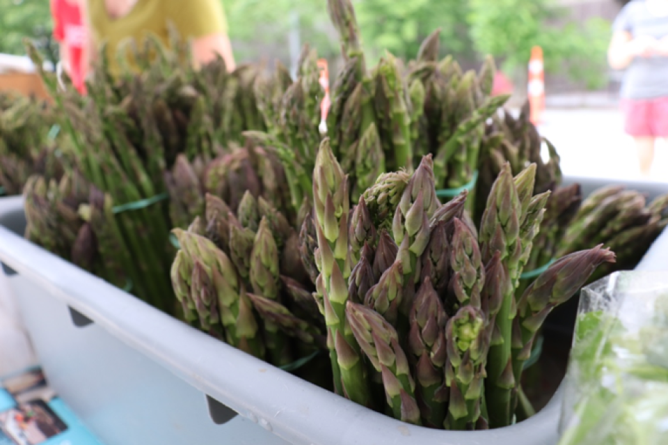 asparagus_Farmers_Market_Harvard