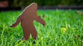 Decorative Bigfoot Sasquatch Lawn Gnome Walking on River Rocks in the Woods or Forest