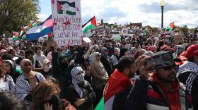 Hundreds of peple wave Palestinian flags and protest on a bright sunny day