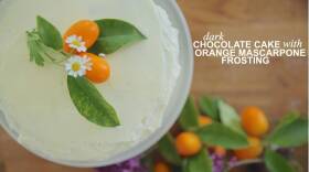 Easy, Best-Ever Dark Chocolate Cake