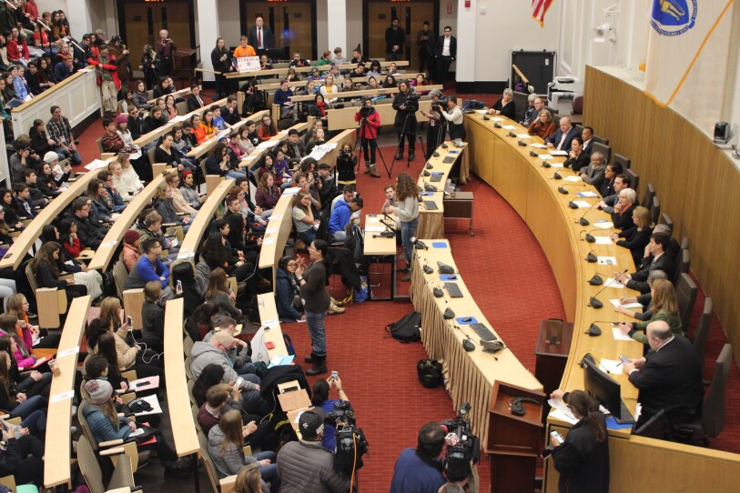 Students protesting for gun control address the State House