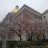State House in spring