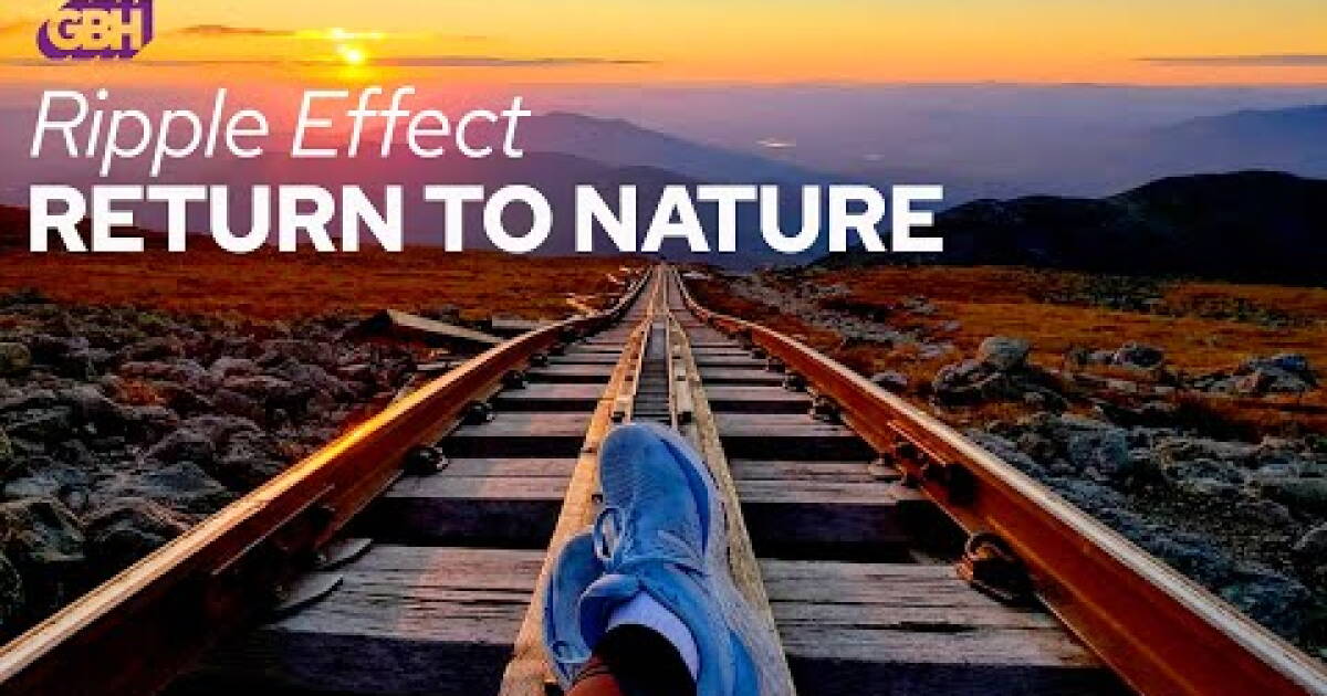 Ripple Effect: Return To Nature | GBH