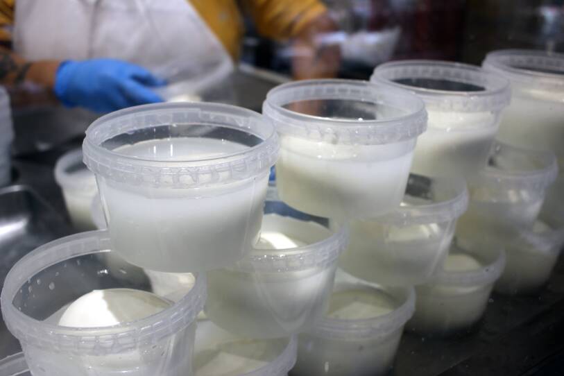 Stacks of fresh mozzarella cheese line the windows at the Mozzarella Bar in Eataly Boston.
