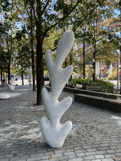 a white marble statue resembling an oak leaf stands in Boston's Central Wharf Park on a sunny autumn afternoon.