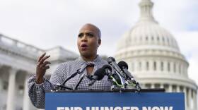 A woman in a houndstooth-print blouse gestures as she speaks from behind a podium with microphones attached to the top. In the background is the dome of the United States Capitol.