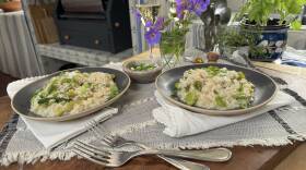 Two round plates filled with risotto, fava beans, and pieces of asparagus on cloth placemats with two crossed forks in front