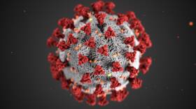 coronavirus.jpg