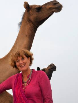 IKR_and_camel.jpg