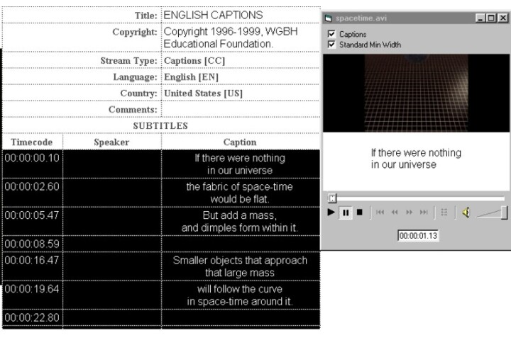 A computer software window featuring a spreadsheet alongside a media player.