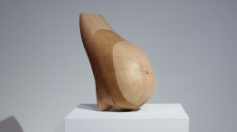 Alison Croney Moses, Eli Brown, and more
