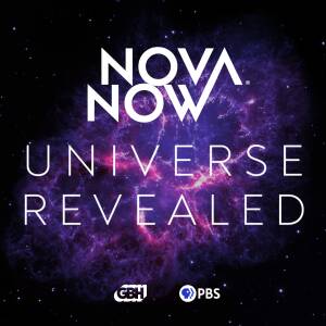 Nova Universe Revealed Updated Logo.08.11.2025