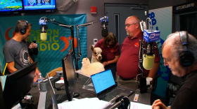 An alpaca stands in a radio studio