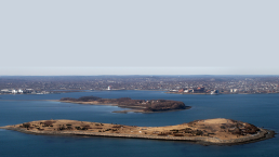 Spectacle_Island.png