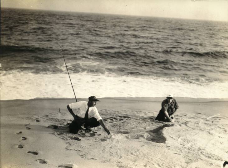 Two men on a beach measure large foot prints in the sand.