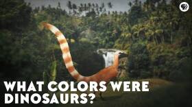 What Colors Were Dinosaurs?