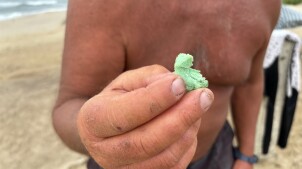 One example of the potpourri of green foam debris from the broken Vineyard Wind turbine blade that has washed ashore on Nantucket, impacting business and beachgoers.