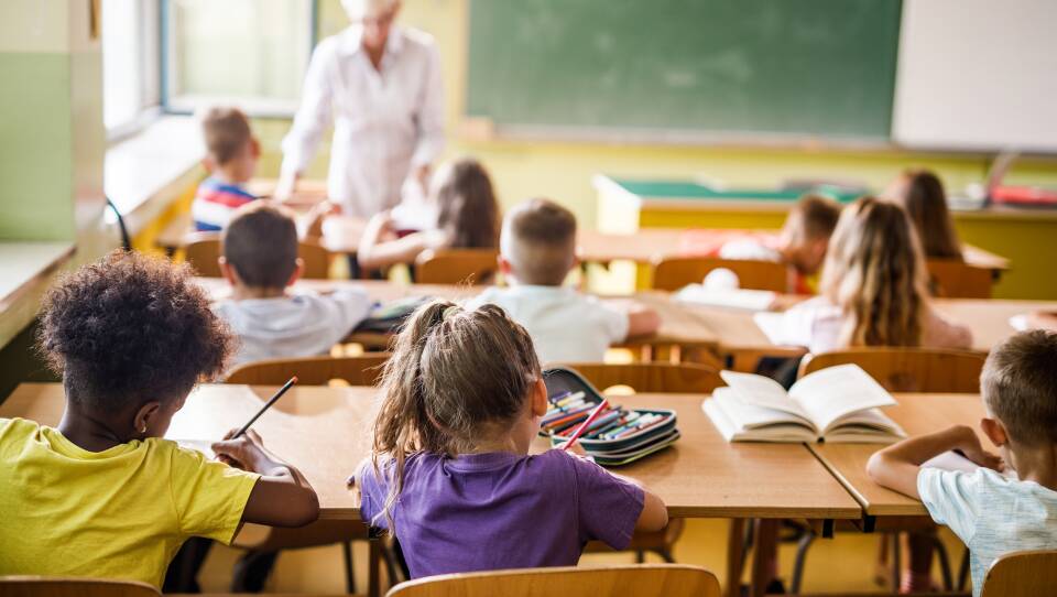 Rear view of elementary students attending a class in the classroom.