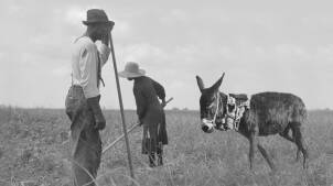 The History of Reparations