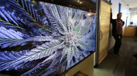 Legal Marijuana Massachusetts