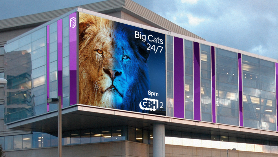 Big Cats 24/7; 8pm; GBH 2
