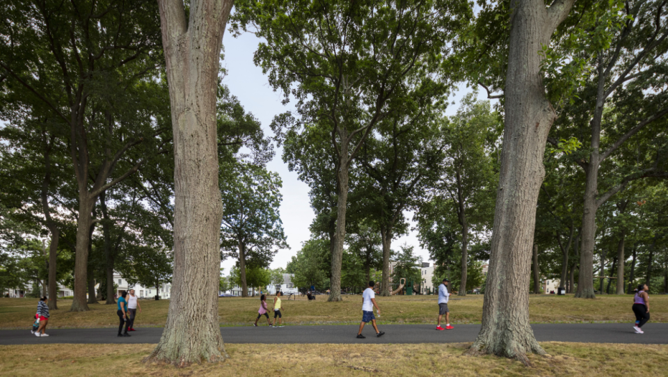 Eight people stroll along a tree-lined pathway in Boston's Franklin Park.