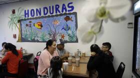 Immigration Shifting Demographics