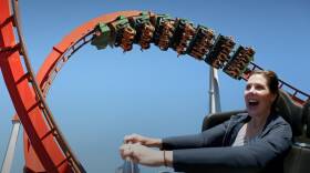Are Roller Coasters Actually Good For Your Brain?
