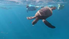 Now streaming: Seeing the USA