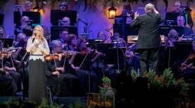 Mary's Little Boy Child