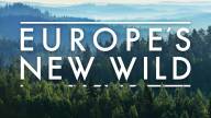 Europe's New Wild
