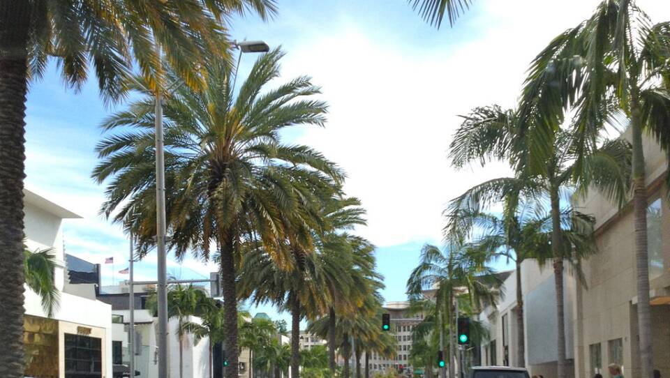 1024px-palms_on_rodeo_drive_in_hollywood.jpg